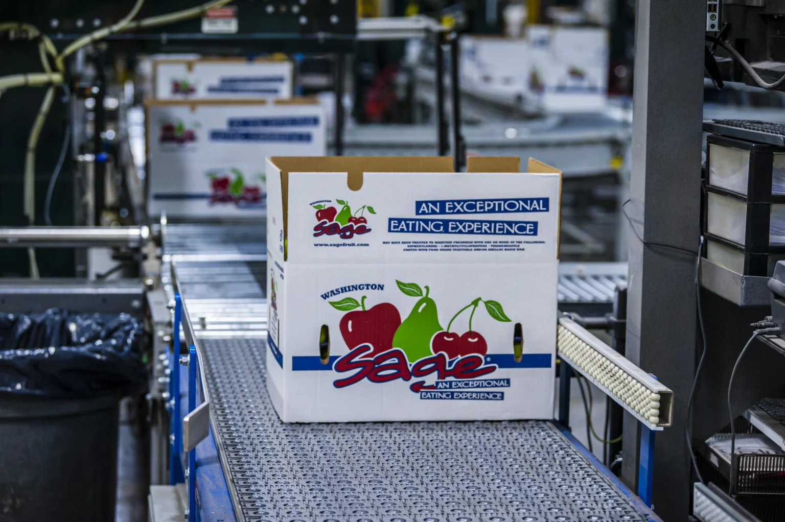 box of fruit on conveyor