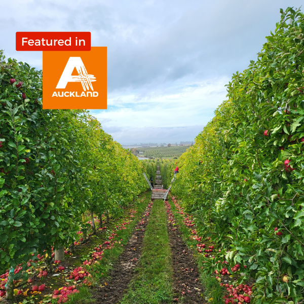 photo of orchard