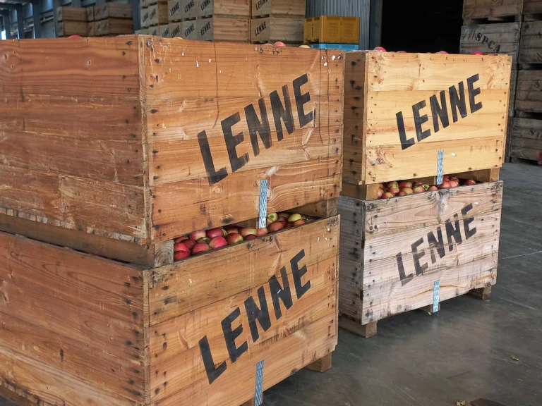 apple bins