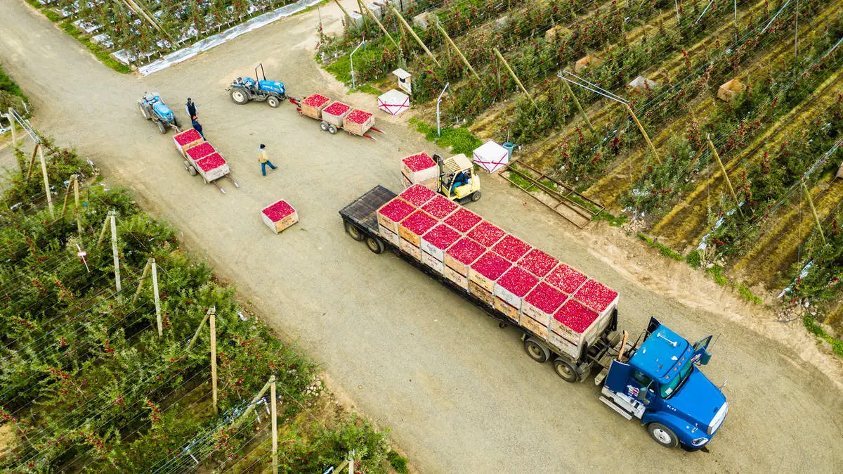 photo of apple truck