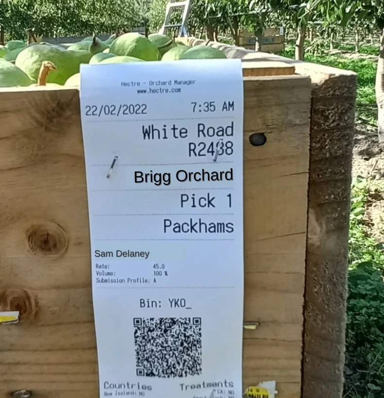 bin ticket