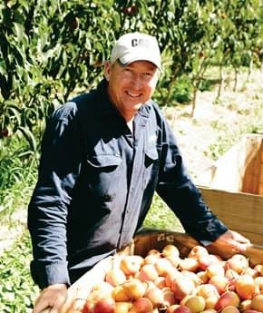 apple bin