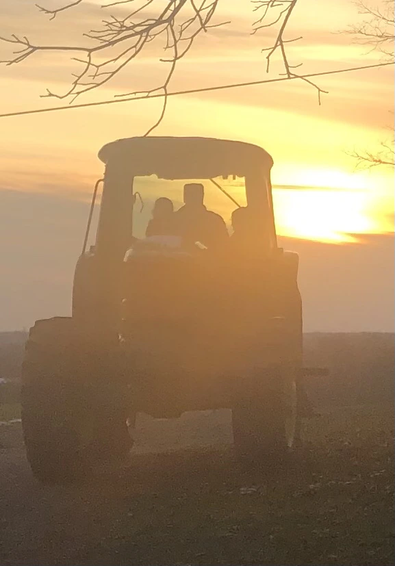 tractor in orchard