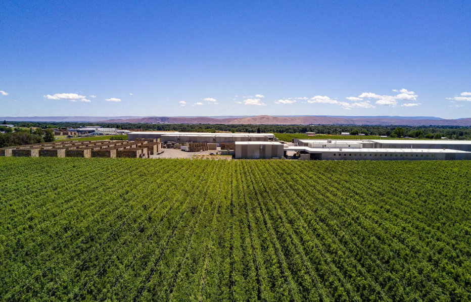 view of orchard