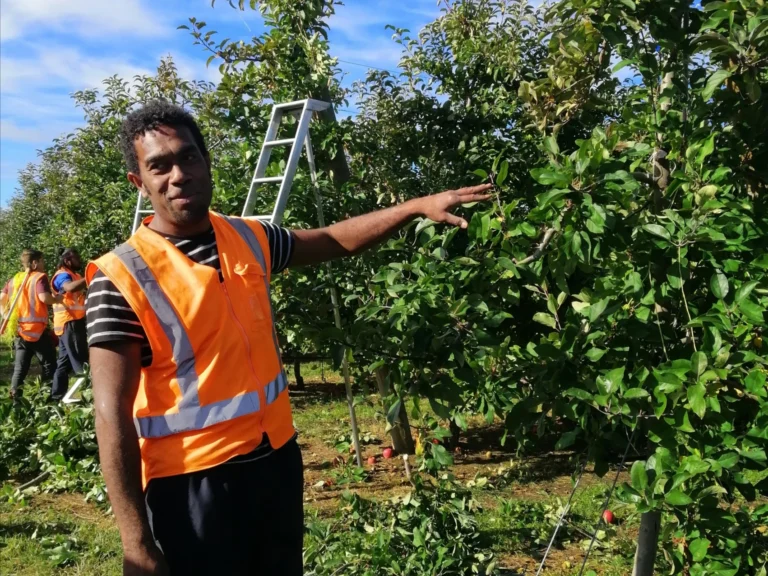 man in orchard