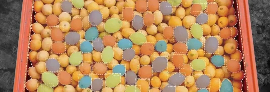 Spectre-lemon-detection-mock-up-slice