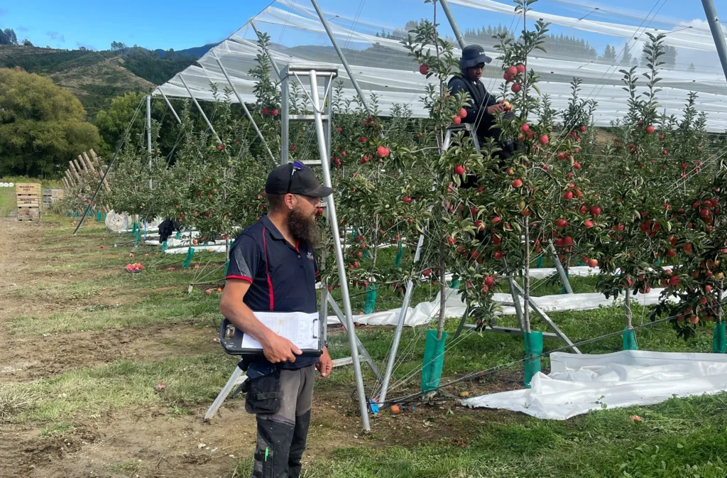 men in orchard