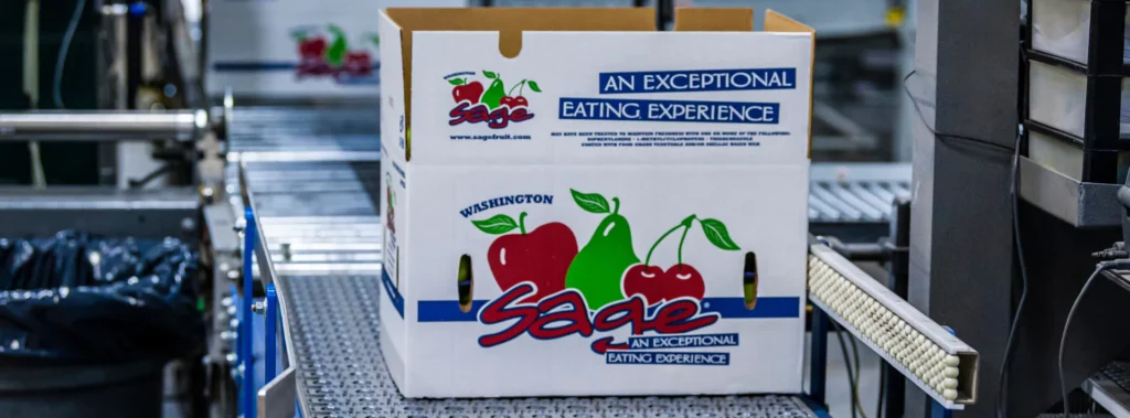 Box of apples on conveyor